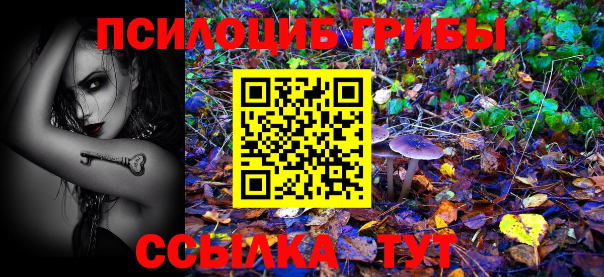 Псилоцибиновые грибы мицелий Мурино