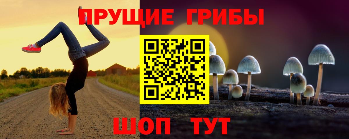 Галлюциногенные грибы Psilocybe  Галлюциногенные грибы прущие грибы  Вход с VPN  Мурино 